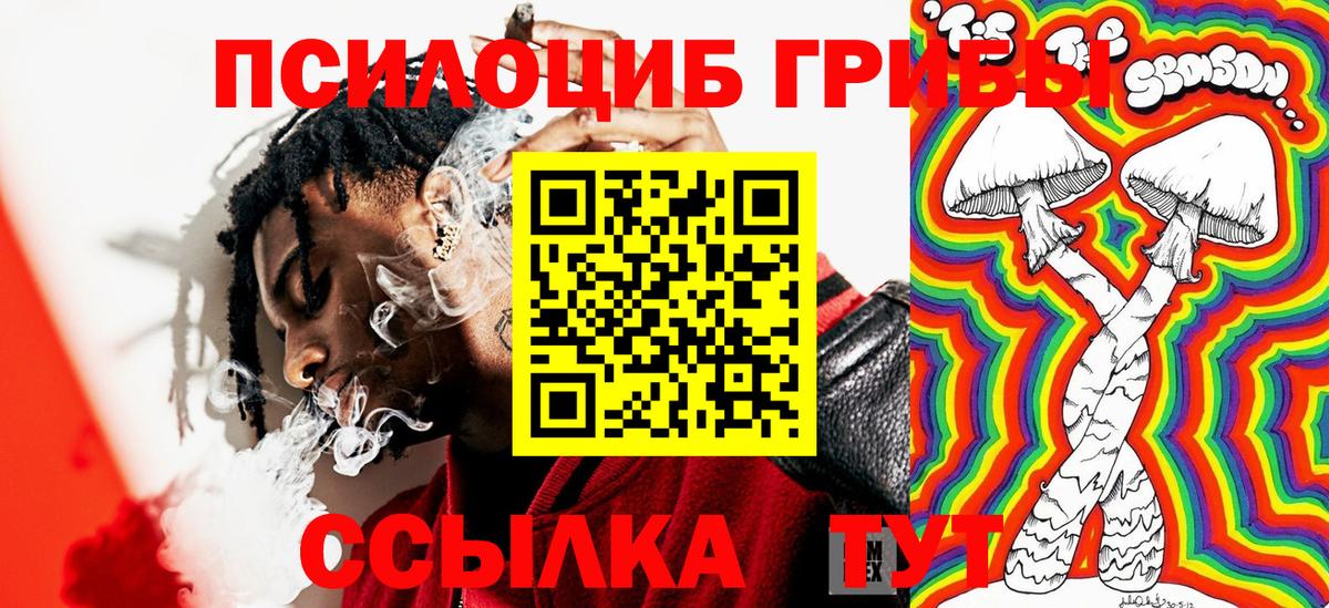 Галлюциногенные грибы MAGIC MUSHROOMS  Псилоцибиновые грибы мухоморы  Верхний Уфалей  магазин  наркотиков  Вход с VPN 